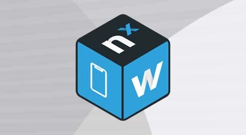 Nx Witness Mobile App